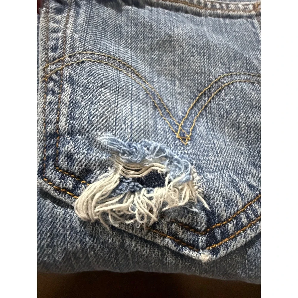 Levis levi 550